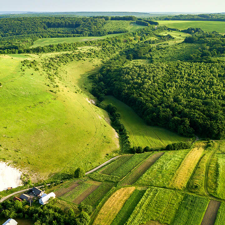 An image of green fields, a road, a copse and land heading off into the horizon. A visual metaphor for the topic of this article, the grey belt and restrictive covenants on land.